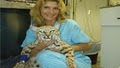 Dadeland Animal Hospital image 3