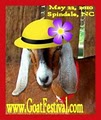 Dairy Goat Festival and Parade Headquarters in Spindale,  NC logo