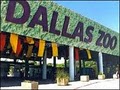 Dallas Zoo image 6
