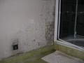 Damage-Manage Mold Removal & Remediation image 5