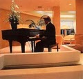 Dan Dierkes Professional Piano Player image 2