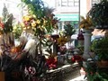 Dana's Flower Shop image 2
