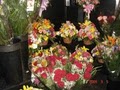 Dana's Flower Shop image 3