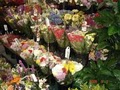 Dana's Flower Shop image 6