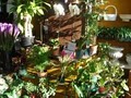 Dana's Flower Shop image 7
