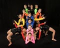 Dance Evolutions Inc. image 9