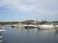 Danversport Yacht Club Marina image 3