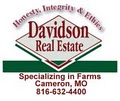 Davidson Real Estate image 2