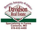 Davidson Real Estate image 2