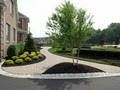DeNicola Landscaping, Inc. image 5