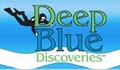 Deep Blue Discoveries logo