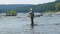 Delaware River Fishing Guides image 2