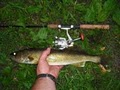 Delaware River Fishing Guides image 3