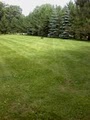 Diamond Cut Lawns image 3