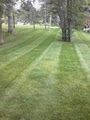 Diamond Cut Lawns image 1