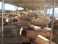 Discount Firewood image 5