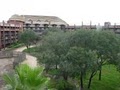Disney's Animal Kingdom Lodge image 8