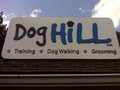 Dog Hill - Premium Pet Care Services image 2