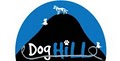 Dog Hill - Premium Pet Care Services logo