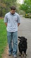 Dog Training In Your Home- Hickory, NC image 3