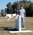 Dog Training In Your Home- Hickory, NC image 5
