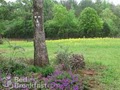 Dogwood Hill Bed & Breakfast image 3