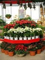 Dothan Nurseries image 7