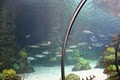 Downtown Aquarium - Denver image 4