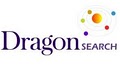 DragonSearch Internet Marketing image 2