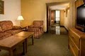Drury Inn & Suites - Frankenmuth image 2