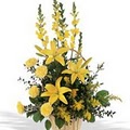 Dumas Florist image 6