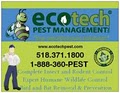 ECOTECH Pest and Wildlife Control - Bat & Animal Proofing Specialists image 2