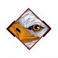 Eagle Eye Home Inspections logo