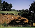 Eagle Ridge Golf Club- Golf Tournament-Gilroy image 5