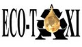 Eco-Taxi image 3