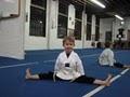 Elite Martial Arts Academy image 2