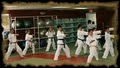 Elite Martial Arts Academy image 4
