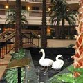 Embassy Suites Hotel Houston-Near The Galleria image 8