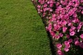 Emerald Cut Lawn & Landscape, Inc. image 7