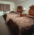 Evergreen Inn LLC image 4