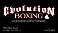 Evolution  Boxing image 3