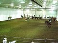 Exclusive Equine Center image 3