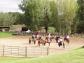Exclusive Equine Center image 4