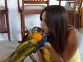 Exotic Pets & Birds image 3