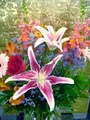 Fashion Flowers | Charlotte’s Leading Florist & Gift Basket Provider image 3