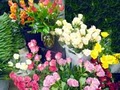 Fashion Flowers | Charlotte’s Leading Florist & Gift Basket Provider image 7