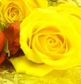 Fashion Flowers | Charlotte’s Leading Florist & Gift Basket Provider image 1
