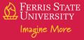 Ferris State University image 6
