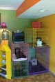 Finer DeTails Pet Spa image 5