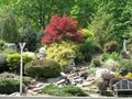 Finlayson Landscaping & Design image 2